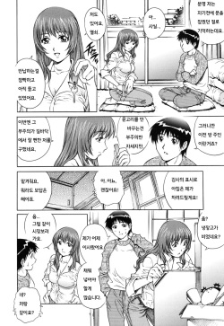 [Yanagawa Rio] LOVE Tissue [Korean] page 8