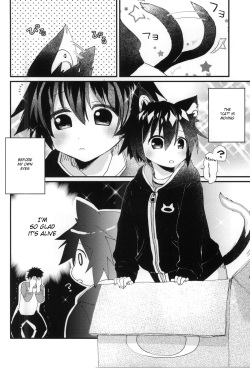 (COMITIA112) [Nikomutoko (Nabenco)] Robo Neko no Shitsukekata [English] {Shotachan} page 4