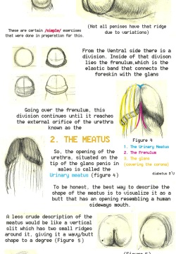 Arkomeda's Tutorials