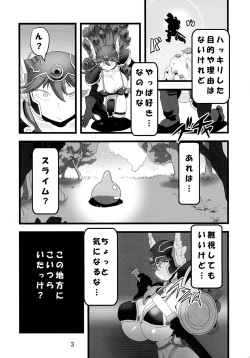 (C88) [Tsurimura (Histamine C)] QUEST OF BOOTY (Dragon Quest III) page 5