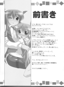 (Reitaisai 8) [CUNICULUS (Yositama)] Namonaki Ai no Uta Daiyousei Koakuma Hen (Touhou Project) page 4