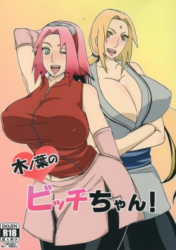 (C85) [Pucchu (Echigawa Ryuuka)] Konoha no Bitch-chan! | 나믓잎 마을의 걸레년! (Naruto) [Korean] page 1