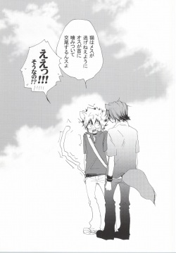 (C77) [BBP (Izumi Bouko)] LOVE らぷれす (Katekyo Hitman REBORN!) page 2