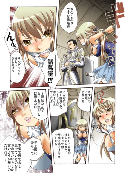 [Atelier Hachifukuan] Suiki Kagobaku ~Hobaku Sarete~ (Dynasty Warriors) page 6