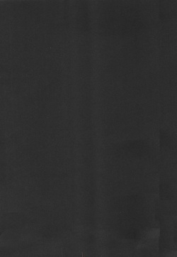 [Ninomiya Ryouzou] Junketsu Maniac Seijo page 4