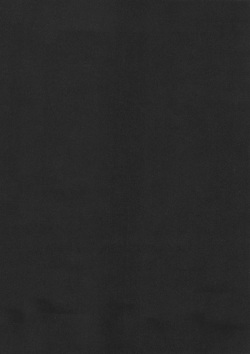 [Ninomiya Ryouzou] Junketsu Maniac Seijo page 5