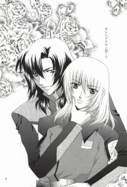 (C67) [Vitamin-x (Sanmangoku Hoshiko)] GOLD DUST (Gundam SEED DESTINY) page 3