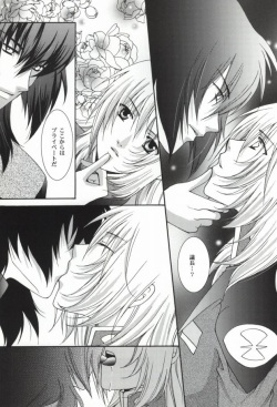 (C67) [Vitamin-x (Sanmangoku Hoshiko)] GOLD DUST (Gundam SEED DESTINY) page 5
