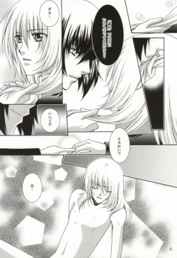 (C67) [Vitamin-x (Sanmangoku Hoshiko)] GOLD DUST (Gundam SEED DESTINY) page 6