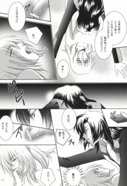 (C67) [Vitamin-x (Sanmangoku Hoshiko)] GOLD DUST (Gundam SEED DESTINY) page 9