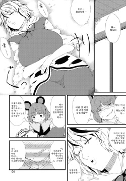 (Reitaisai 11) [Moeru Gomi (Ogata Hiro)] Obsession (Touhou Project) [Korean] page 3
