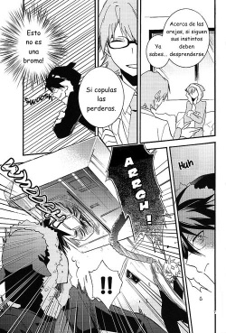 [Suidoku (Don Una)] mimimi (Durarara!) [Spanish] [LYLF-Otakurinos] page 8