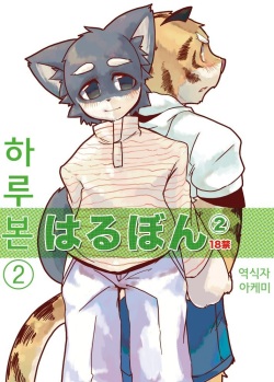 (C69) [Harugoya (Harusuke)] Harubon 2 [Korean] [아케미] page 1