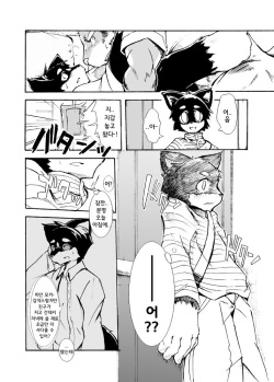 (C69) [Harugoya (Harusuke)] Harubon 2 [Korean] [아케미] page 7