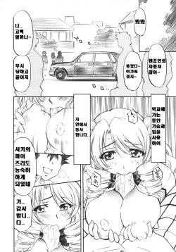 (C73) [Studio Wallaby (Nagisa Minami)] Troublekko ~Saki &amp; Aya &amp; Rin~ (To LOVE-Ru) [Korean] page 5