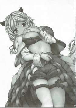 (C90) [Danikuya-san (Shiroie Mika)] Dorei Shuzoku no Shoujo wa Haramu shika Nai. (Granblue Fantasy) page 2