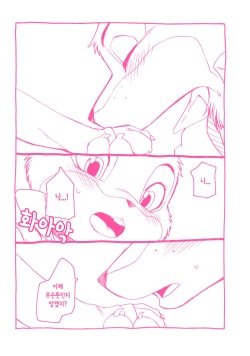 (Kemoket 5) [Dogear (Inumimi Moeta)] Sagishi no Hatsukoi (Zootopia) [Korean] page 9