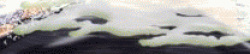 [Cadath] DaPantsu!! (gif) page 5