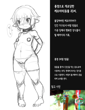 [黒九六] 風鈴として改造されるケモ耳さん [Korean] cover