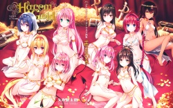 [Yabuki Kentarou] Harem Gold (To Love-ru Darkness) page 1