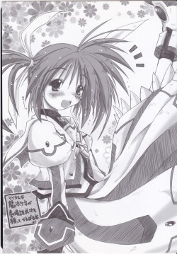 (C75) [Ankoku-Bousougumi (Ainu Mania)] Lyrical na Mahou Shoujo ga Gekijouban Seikou o Negatte Ganbaru Hon. (Mahou Shoujo Lyrical Nanoha) page 3