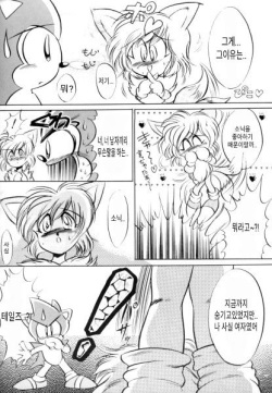 Do Your Best, Sonic! (Sonic the Hedgehog)[Korean][고전부] page 2