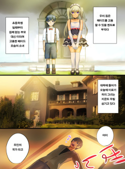 [Fukafuka Tenshoku] Senzoku Maid ga BBA ni Natta Koro [Korean] page 2