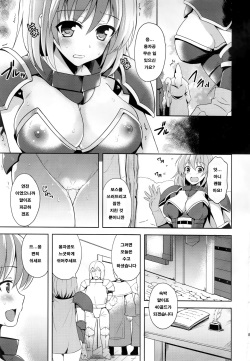 (C89) [Chococornet (Tenro Aya)] Kairaku no Yoroi [Korean] page 6