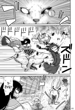 (C83) [Zenra Yashiki (Katou Fuguo)] Kaenbyou Ikari no Hatsujouki  (Touhou Ishu Kan Goudou) (Touhou Project) [Korean] page 3