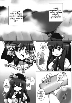 (C76) [Raiden Labo (Raiden)] TENCO (Touhou Project) [Korean] [팀☆면갤] page 3