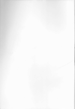 (SUPER21) [Inubaka (Matsuzono)] Tsubomi (Fate/Zero) page 2