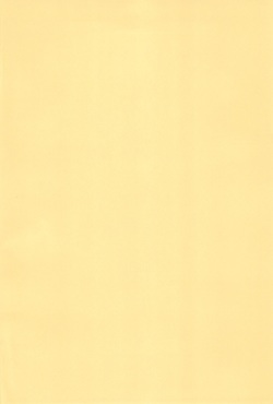[Hamigaki Shoukai (Hamigaki Shinji)] WHITE &amp; WHITE page 4