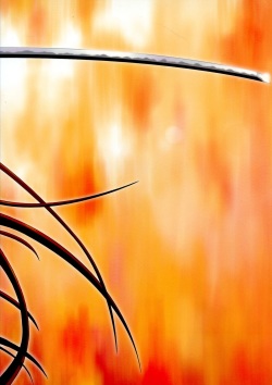 (C66) [Zangyaku Koui Teate (Nasake Muyou)] Trinitrotoluene (Shakugan no Shana) [English] page 2