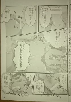 (Kansai! Kemoket 4) [Higo Shikijouya (Various)] Juushou Heavy Weight Fighters (Sengoku Puzzle!! Animal Daigassen) page 10