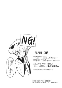 (Reitaisai 13) [Rasa House (Rasahan)] Chiisana Seesaw Lovers (Touhou Project) page 3