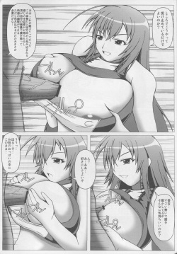 (Tora Matsuri 2010) [SHi's Laboratory (SHINGO)] PAI-Z-ReMix (Various) page 8