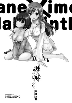 [Natsume Fumika] Ane x Imo Labyrinth [Digital] page 3