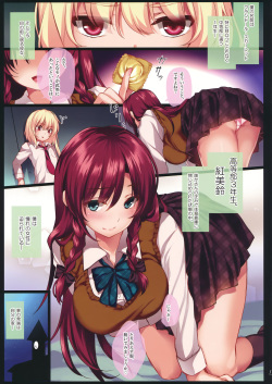 (C91) [MONE Keshi Gum (Monety)] Meiling Onee-chan to Flan-kun no Gakuen Seikatsu (Touhou Project) page 2
