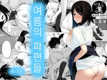[Icepick] Natsu no Otoshigo [Korean] cover