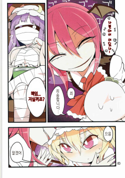 (C90) [Yashiya (YASSY)] Flan Dorodoro (Touhou Project) [Korean] [HELLVEN Touhou] page 4