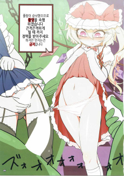 (C90) [Yashiya (YASSY)] Flan Dorodoro (Touhou Project) [Korean] [HELLVEN Touhou] page 9