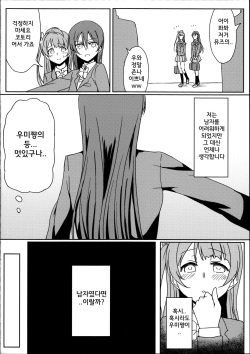 (C89) [Lipterrible (9chibiru)] Chick ToGetHer! (Love Live!) [Korean] page 7