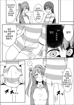 (C89) [Lipterrible (9chibiru)] Chick ToGetHer! (Love Live!) [Korean] page 9