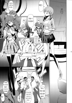 (C88) [DEX+ (Nakadera Akira)] Rise Chie (Persona 4) [korean] page 5