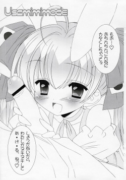 (SC26) [Furaipan Daimaou (Chouchin Ankou)] Usamimimode (Di Gi Charat) page 3