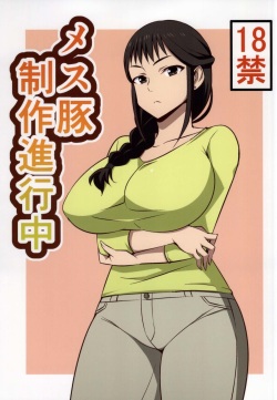 (COMIC1☆9) [Mattari House (Aitsu)] Mesu Buta Seisaku Shinkouchuu (SHIROBAKO) [English] [Trinity Translations Team + Kintox] page 1