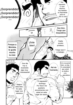 [Terujirou] Miel de abeja macho [Spanish] [TenshinDarkSon] page 4