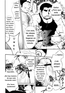[Terujirou] Miel de abeja macho [Spanish] [TenshinDarkSon] page 8