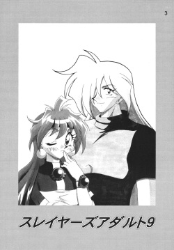 [Ginmomodou (Mita Satomi)] SLAYERS ADULT 9 (Slayers) [Digital] page 3