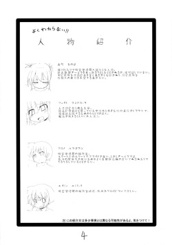 (C70) [Kazemichi (Mamo)] MAGIC OF IRON (Mahou Shoujo Lyrical Nanoha) page 3